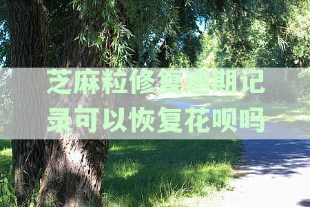 芝麻粒修复逾期记录可以恢复花呗吗