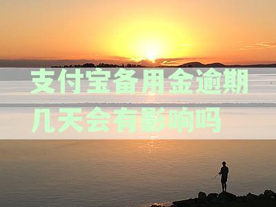 支付宝备用金逾期天数对征信有何影响？探讨逾期支付后果与影响