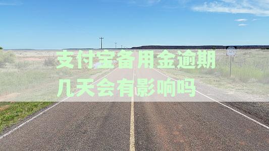 支付宝备用金逾期几天会有影响吗