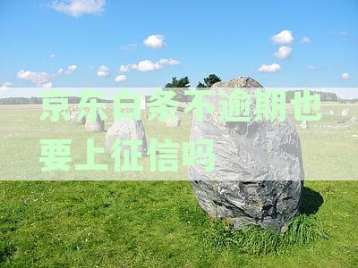 使用与征信记录：逾期与否及还款行为对个人信用的影响解读