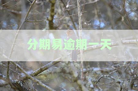 分期逾期一天，紧急联系人不间断电话催收，每日通讯录频繁联络势在必行