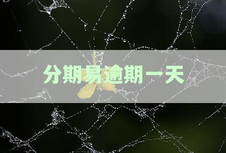 分期易逾期一天