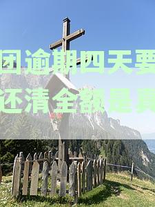 美团逾期四天要一次还清全额是真的吗？安全性与真实性分析