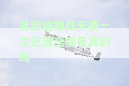 美团逾期还款全解析：四天内全额还款传闻真实性考察及应对策略