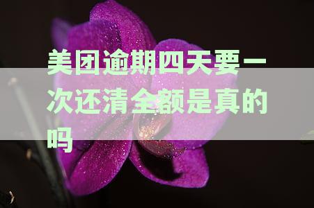 美团支付逾期四天问题已解决：原因、处理过程及用户应对策略详解