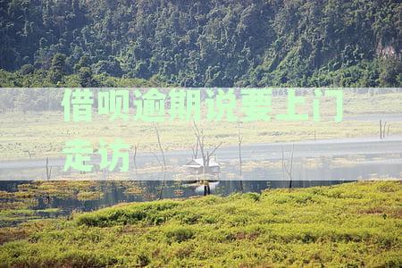 借呗逾期说要上门走访是真的吗？借呗逾期上门走访是否真实？