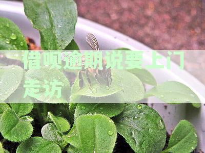 借呗逾期引发上门走访签文件：逾期处理流程、潜在后果与应对策略详解