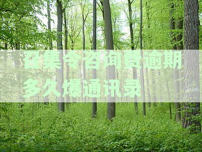 召集令咨询费不还会怎么样：借贷收取咨询费未还的影响及后果