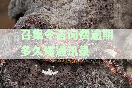 召集令咨询费逾期多久爆通讯录