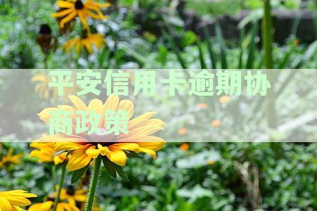 2024年平安信用卡逾期协商全攻略：政策解读与协商技巧详解