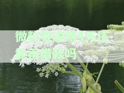 微粒贷逾期四天,是不是以后都不能借钱了-微粒贷逾期四天,是不是以后都不能借钱了