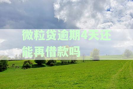微粒贷逾期4天还能再借款吗
