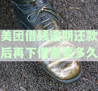美团借钱逾期还款后再下借需要多久
