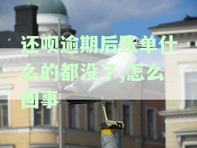 还呗逾期后账单什么的都没了,怎么回事