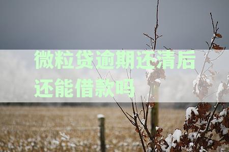 微粒贷逾期还清后还能借款吗