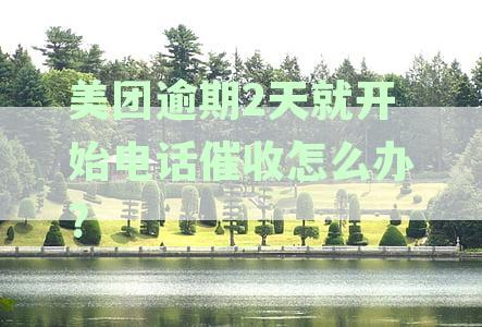 美团催收政策解读：逾期2天电话催收应对策略与办理指南