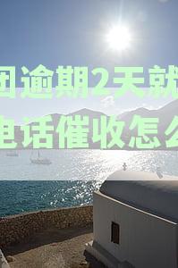 美团逾期2天就开始电话催收怎么办?