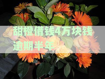 甜橙逾期了五天：还款影响、是否能用及上征信情况解析