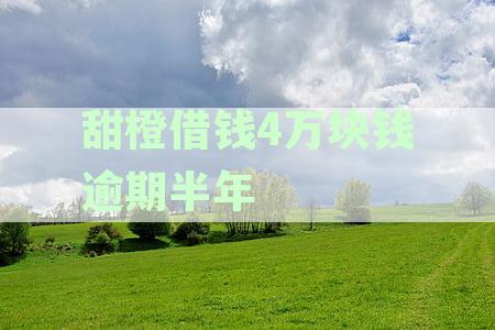 甜橙借钱4万块钱逾期半年
