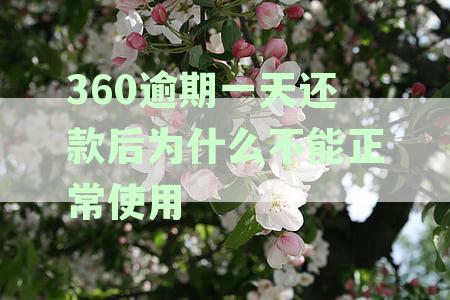 360逾期一天还款后为什么不能正常使用了-360逾期一天还款后为什么不能正常使用了呢