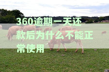 为何逾期一天还款后无法正常使用借款服务：揭秘借呗使用受限之谜