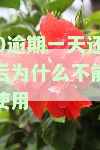 360逾期一天还款之后能再借出来么，还款后的额度还能使用吗及对借款的影响