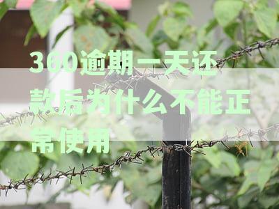 逾期一天还款的影响及常见问题解析