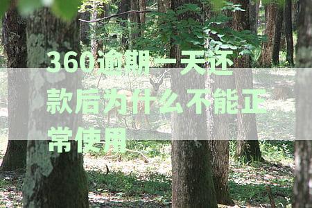 360逾期一天还款后为什么不能正常使用