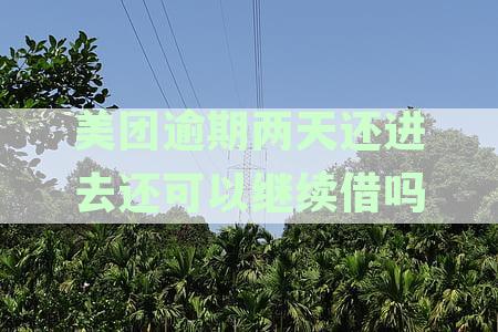 借款人逾期两天还款后，还能否再次借钱？探讨逾期对信用影响及安全性资讯