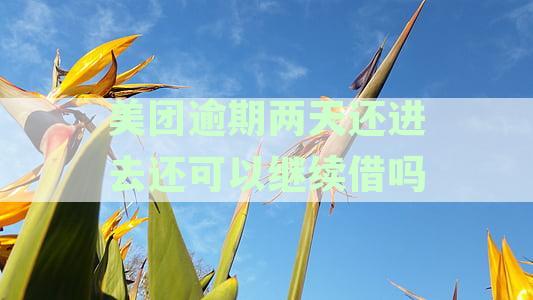 逾期两天，借款还款将受何影响？怎么处理逾期后果，天会告诉你该怎么办！