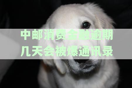 '消费金融逾期贷款催收方式解析：逾期还款会不会采用上门讨还？'