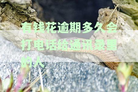 有钱花逾期后联系人的具体时间节点及应对策略详解
