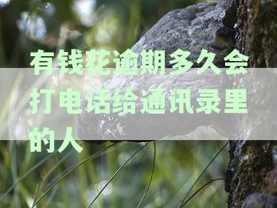 有钱花逾期后多久联系家人及如何应对催收电话：全面解析逾期还款问题
