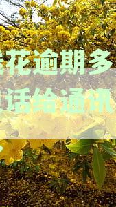 有钱花逾期多久会打电话给通讯录里的人