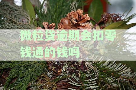 微粒贷逾期是否会导致微信零钱自动扣款？最新资讯解答扣款疑问