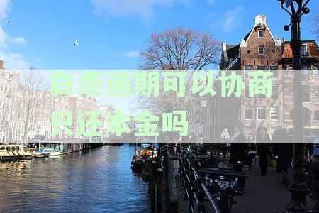 白条逾期了可以协商宽限期吗：多久、还款、还本金及期还款全解析