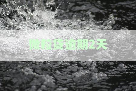 微粒贷逾期2天：影响、后果及应对策略详解