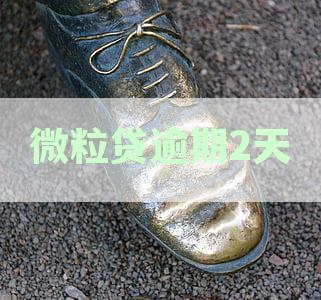 微粒贷逾期2天