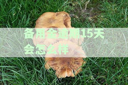 备用金逾期15天后多久可以恢复正常使用吗？