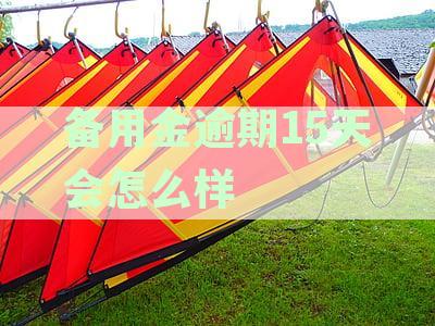 支付宝备用金逾期15天会带来哪些影响，天会后果有哪些？