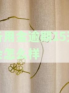 备用金逾期15天会怎么样