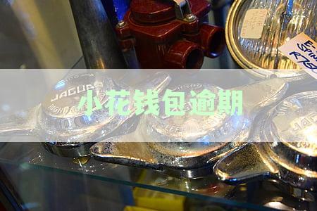 小花钱包逾期还款处理流程：紧急联系人是否会第一时间被通知及逾期后果解析