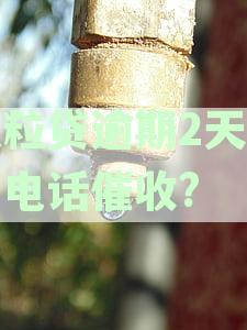 微粒贷逾期2天会打电话催收?