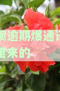 借呗逾期爆通讯录哪里来的
