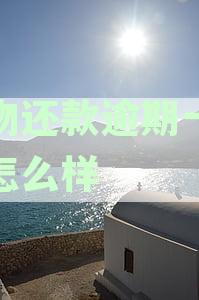 得物分期还款逾期一天会有哪些后果？逾期影响详解资讯