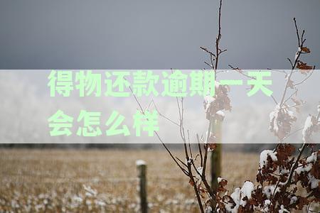 得物还款逾期一天的影响及后续处理指南：逾期后果、解决方案与预防措