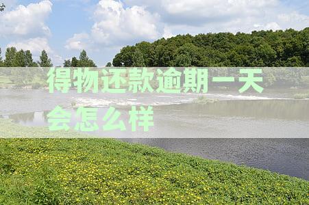得物逾期了会怎么样-逾期无力还款最佳处理方法