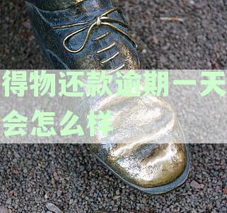 分期逾期一天究竟会有什么后果？逾期一天会怎么样？
