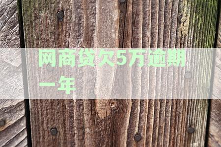 网商贷逾期一年欠款5万元：后果、影响与解决方案详解