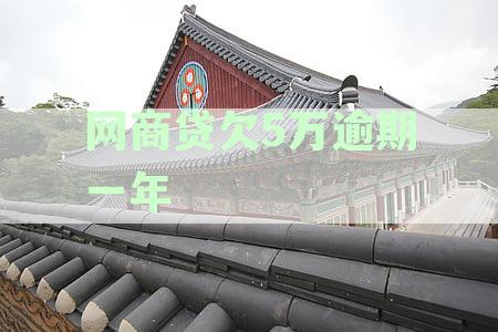 网商贷欠5万逾期一年怎么办：已逾期4个月如何处理？
